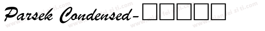 Parsek Condensed字体转换